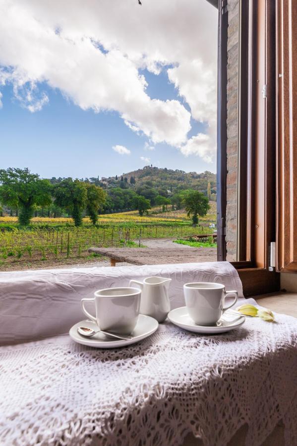 Wine Estate Rooms Paradiso Di Cacuci モンタルチーノ エクステリア 写真
